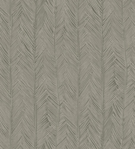 Monsoon20_Itaya_75404B_Flatshot_Web_LR