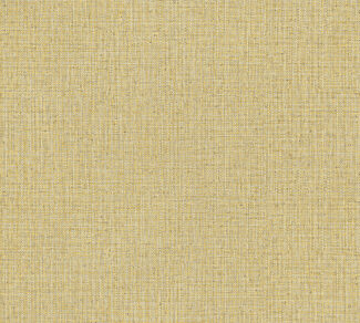 Gitane_Nongo_49514_Packshot