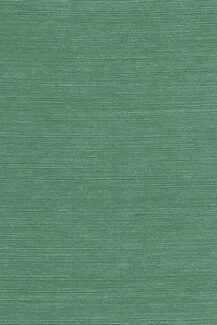 Boutique_Agave_90537_Packshot_Print_HR