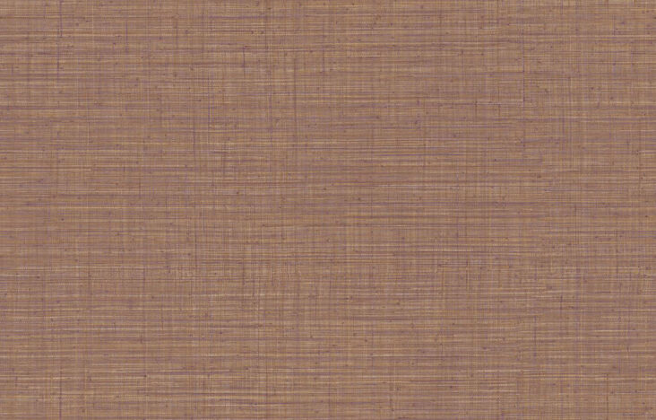 JV800 Tierra_Unito Tierra_6663_Flatshot