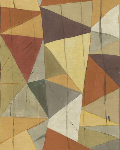 JV800 Tierra_Savana_6632_Flatshot