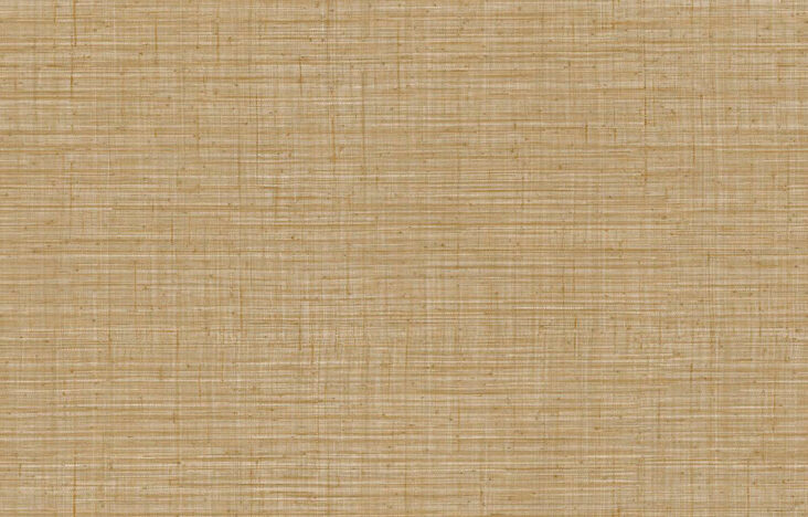 JV800 Tierra_Unito Tierra_6660_Flatshot_Web_LR