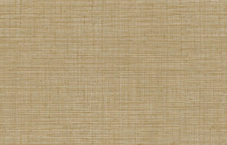 JV800 Tierra_Unito Tierra_6660_Flatshot