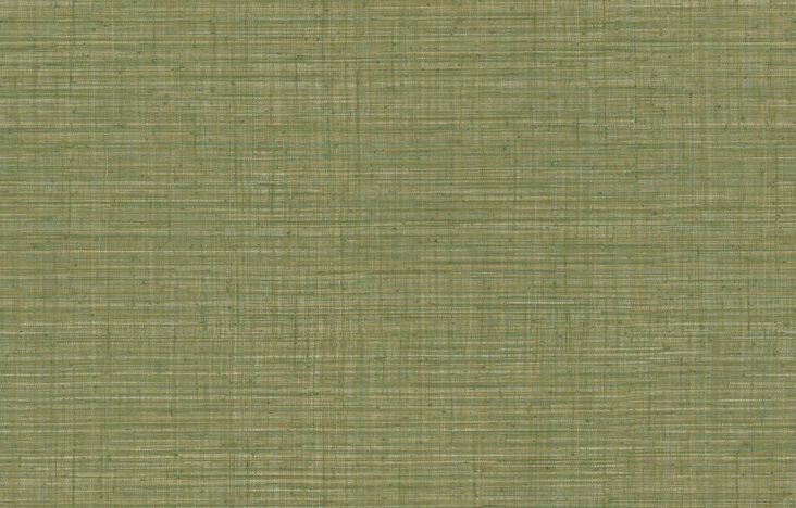 JV800 Tierra_Unito Tierra_6655_Flatshot_Web_LR