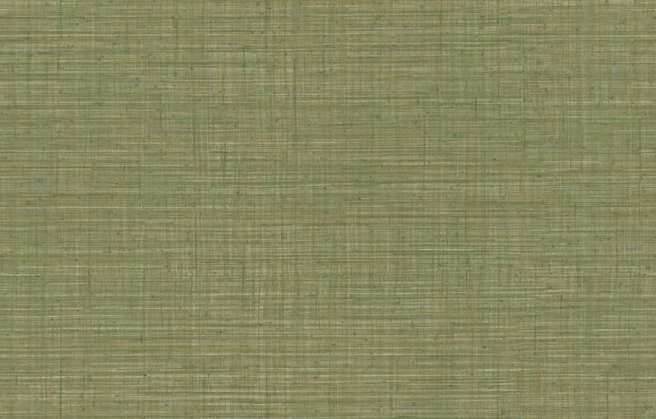 JV800 Tierra_Unito Tierra_6655_Flatshot