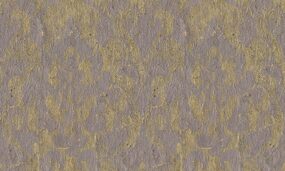 ANT409-70O5