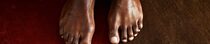 Red-brown-bark-1-S30O