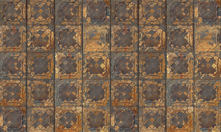 TIN-08-VEVS