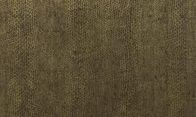ca24-4G62