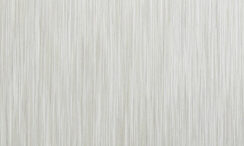 5202-FE1X