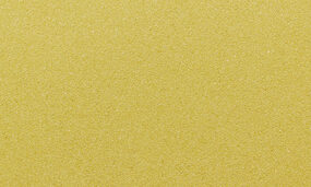gra0135-PUCL
