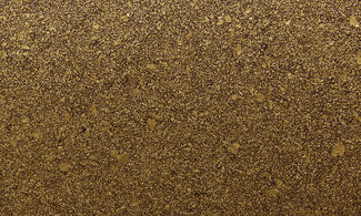 gra6060-RVIO