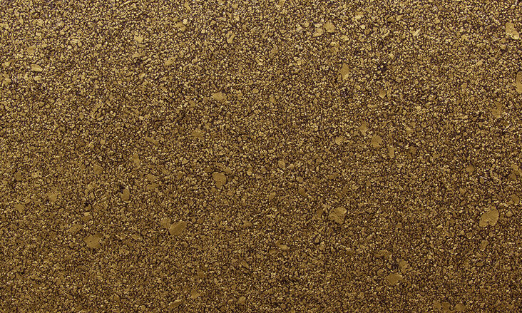 gra6060-RVIO
