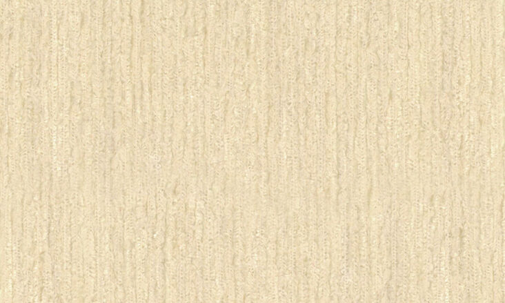 HOR2007-NLEA