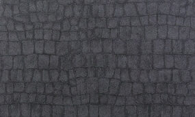 4100-2F5I