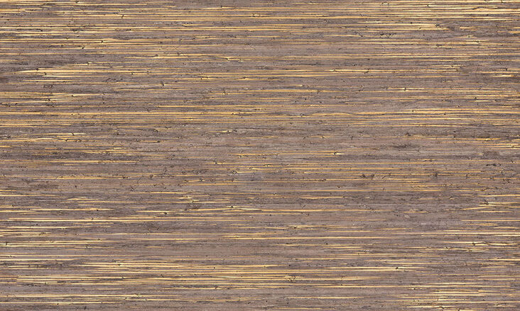 SRA3209-E6C1