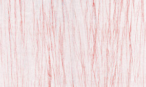 25027-ZJIU