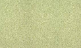 40094kopie-75CO