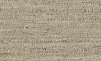 40503-M0A6