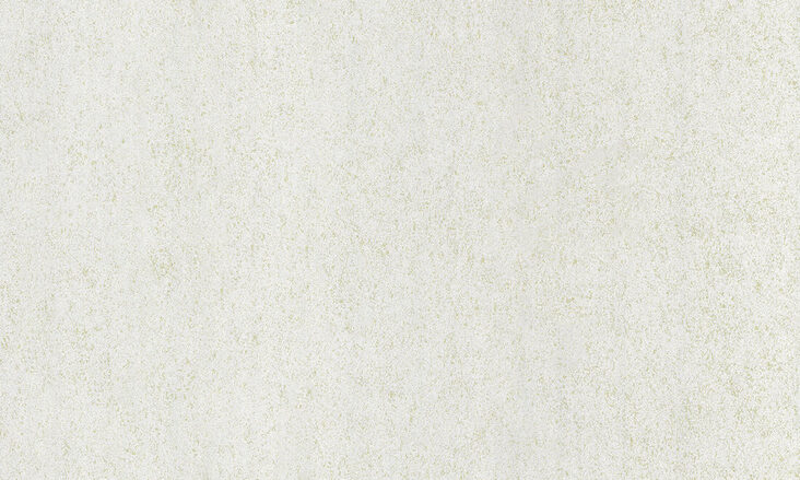 54165-DVBF