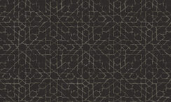 Signature_Spark_2456-U1EY