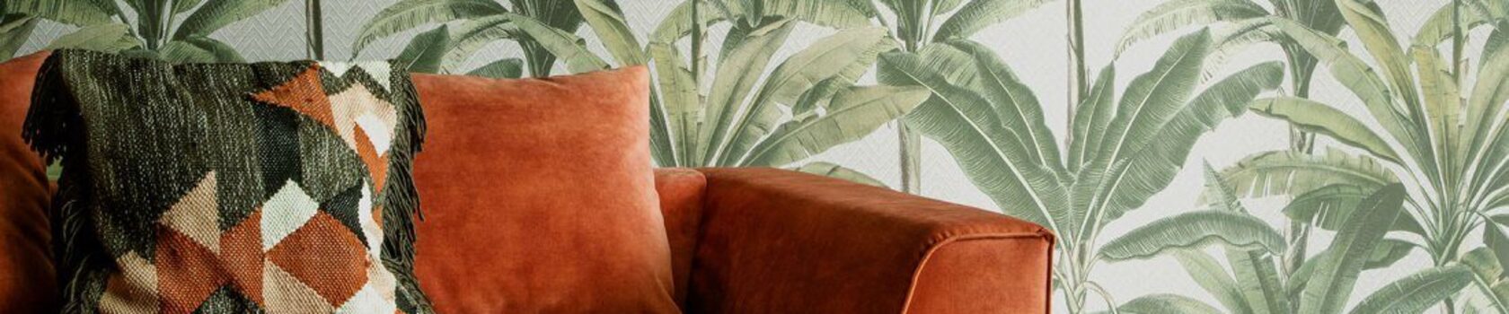 Palmera2-DQ5N