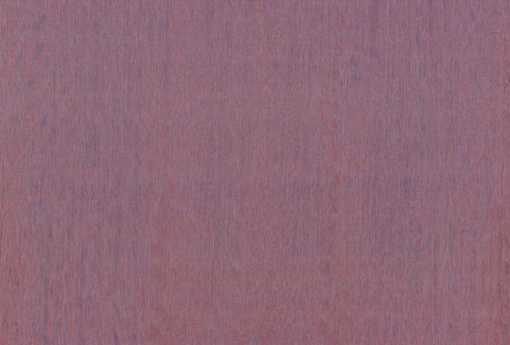 amazone2-fierce-23508-p