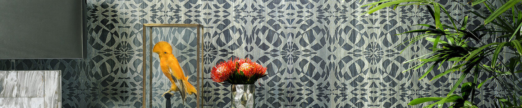 amazone2-triade-23544