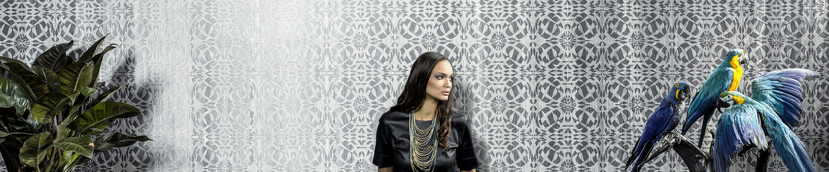 amazone2-triade-23542