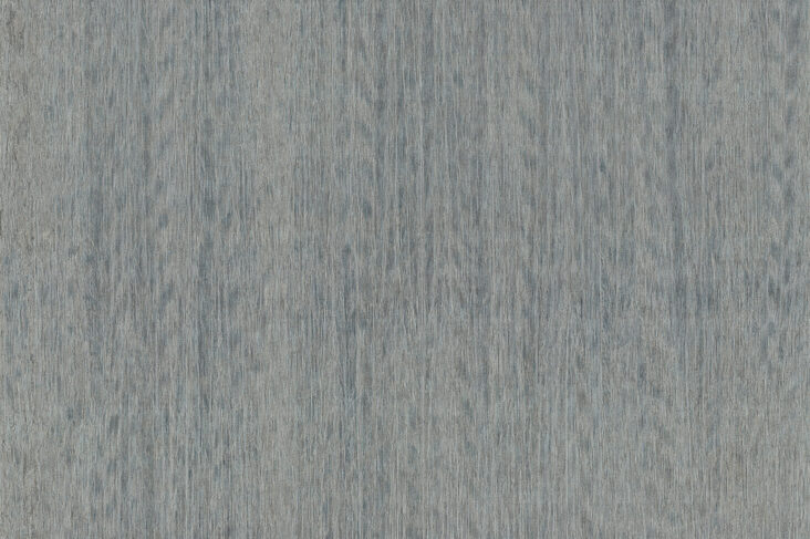 amazone2-fierce-23500-p