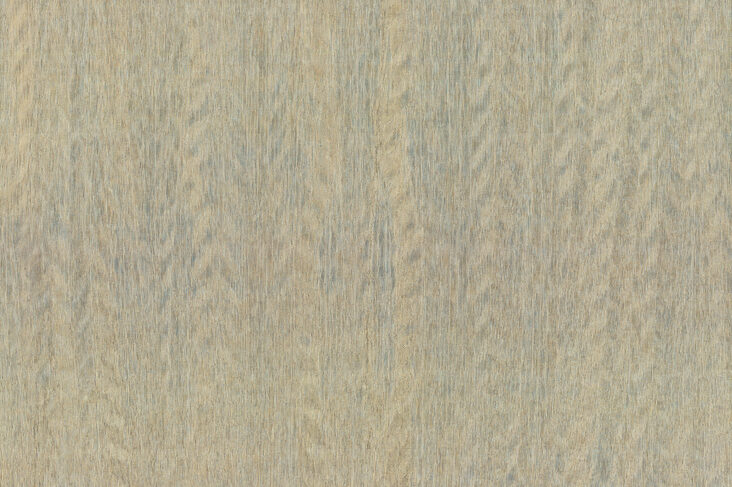 amazone2-fierce-23501-p