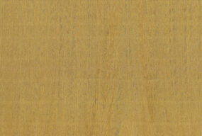 amazone2-fierce-23504-p