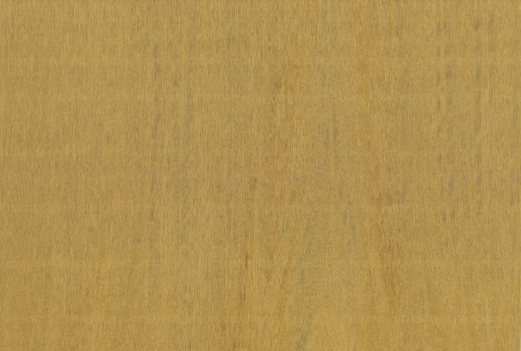 amazone2-fierce-23504-p