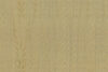 amazone2-fierce-23506-p