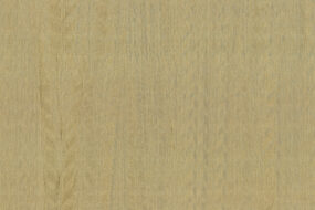 amazone2-fierce-23506-p