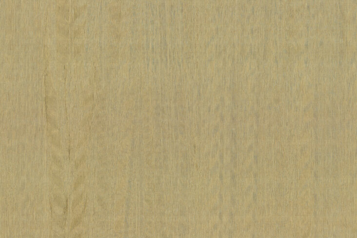 amazone2-fierce-23506-p