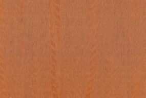 amazone2-fierce-23507-p