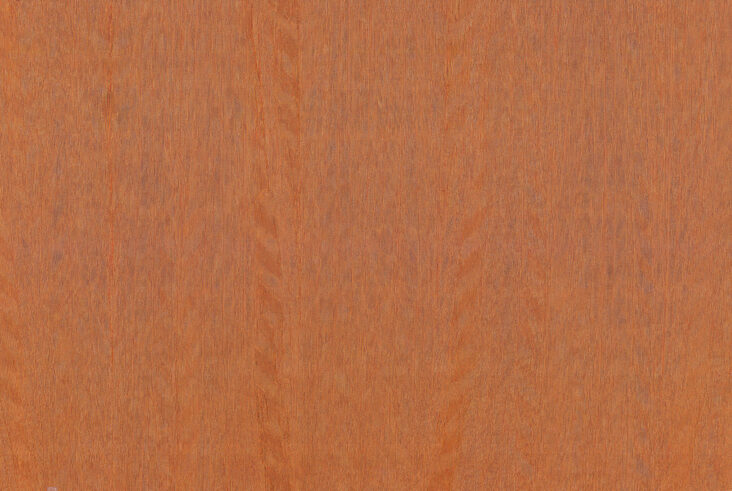 amazone2-fierce-23507-p