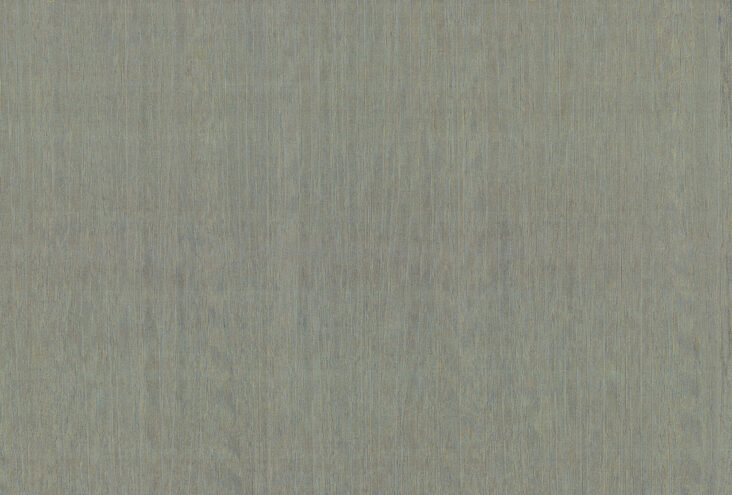 amazone2-fierce-23510-p