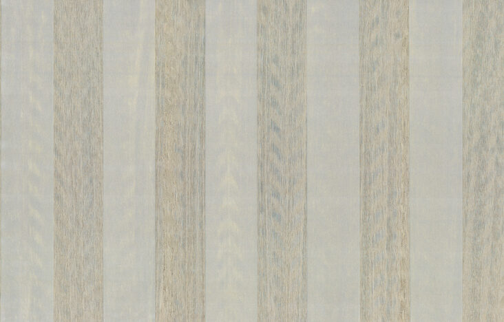 amazone2-trail-23560-p