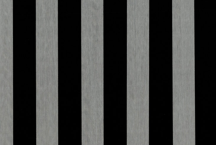 amazone2-trail-23564-p