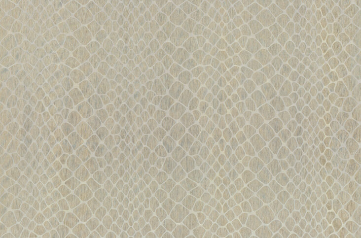 amazone2-maze-23580-p