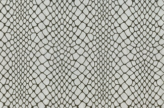 amazone2-maze-23581-p