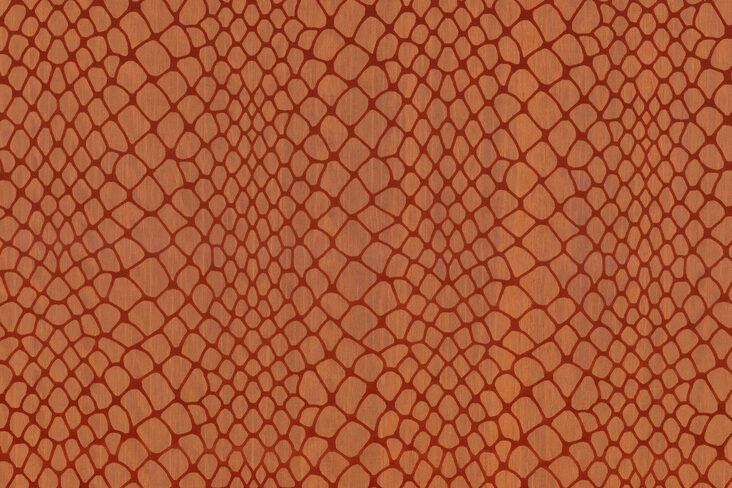 amazone2-maze-23584-p