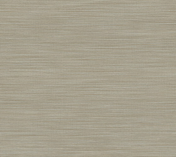 avalon-marsh-31503-p