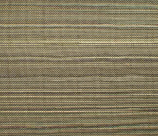 boracay-fields-90062-p