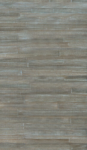 carabao-camago-14009-f