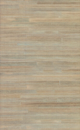 carabao-camago-14011-f