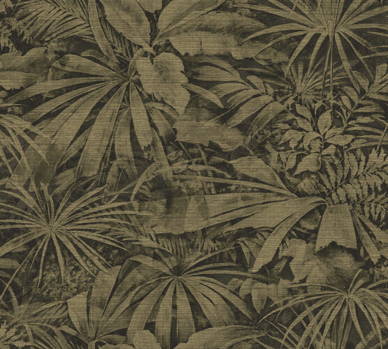 curiosa-grove-13522-p