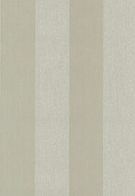 flamantlesrayuresstripes-stripevelvetandlin-18112-p